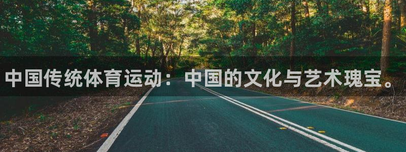oety欧亿体育官网下载招商：中国传统体育运动：中国