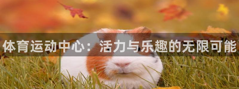 oety欧亿体育官网下载：体育运动中心：活力与乐趣的
