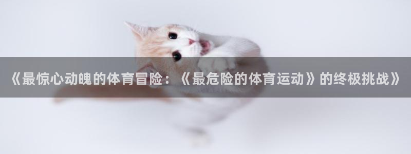 欧亿体育官方正版app娱乐首页官网下载：《最惊心动魄