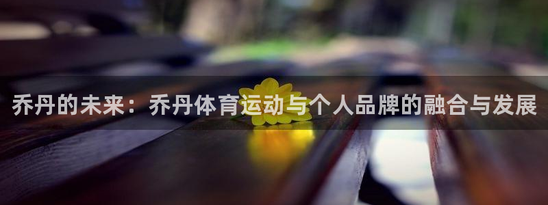 欧亿体育官方正版app娱乐平台：乔丹的未来：乔丹体育运动与个