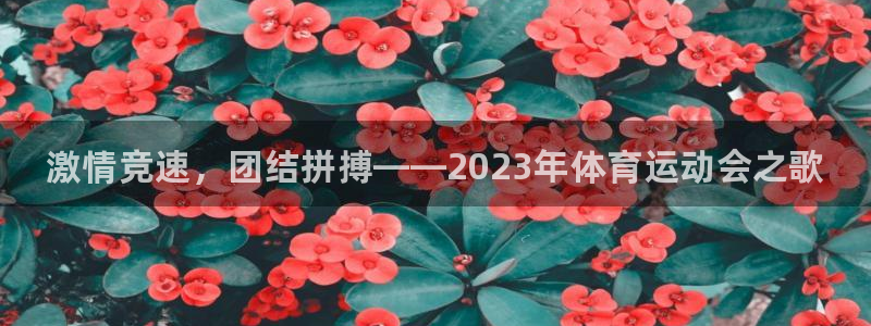 欧亿体育官方正版app娱乐首页网站大全：激情竞速，团