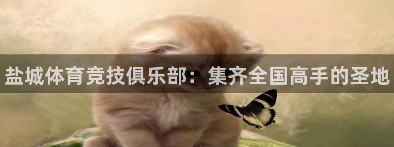 海南oety欧亿体育官网下载：盐城体育竞技俱乐部：集