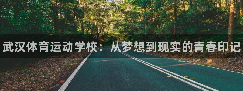 欧亿体育官方正版app科技：武汉体育运动学校：从梦想到现实的