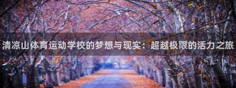 欧亿体育官方正版app五金厂：清凉山体育运动学校的梦想与现实
