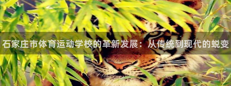 欧亿体育官方正版app集团官网网址：石家庄市体育运动
