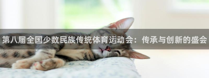 欧亿体育官方正版app官方：第八届全国少数民族传统体