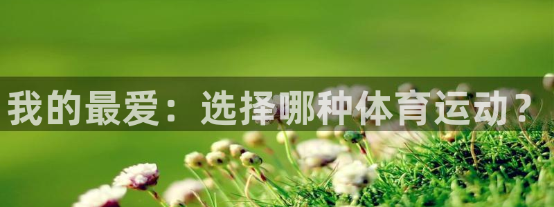oety欧亿体育官网下载平台注册要钱吗安全吗：我的最爱：选择