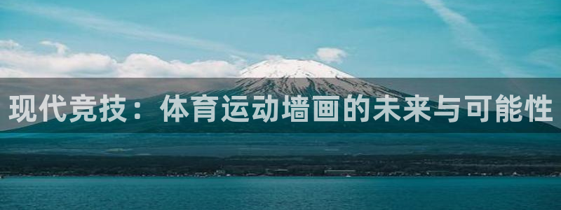 德国欧亿体育官方正版app集团：现代竞技：体育运动墙