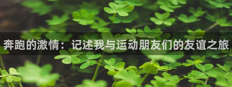 oety欧亿体育官网下载：奔跑的激情：记述我与运动朋