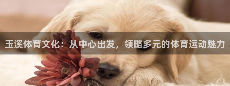 欧亿体育官方正版app集团logo：玉溪体育文化：从中心出发