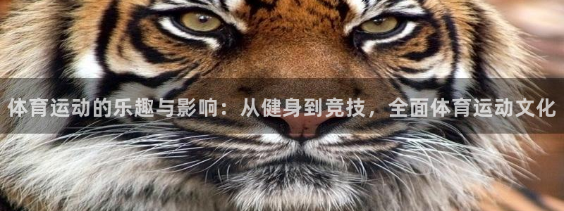 欧亿体育官方正版app娱乐网站