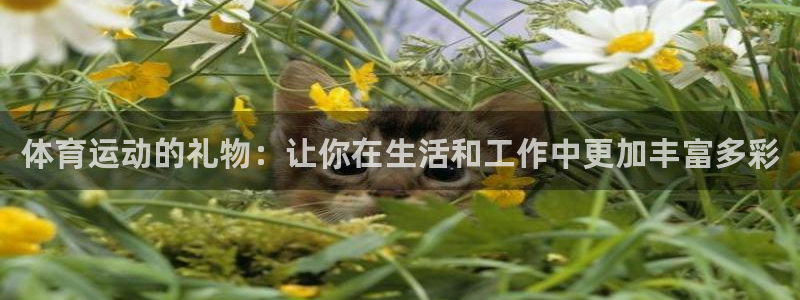 oety欧亿体育官网下载平台注册：体育运动的礼物：让你在生活
