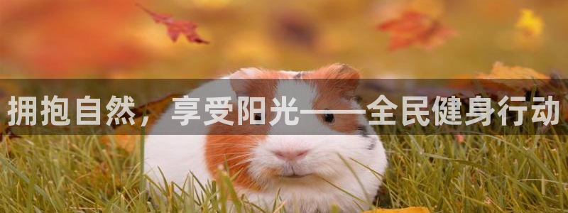 oety欧亿体育官网下载招商电话地址：拥抱自然，享受阳光——