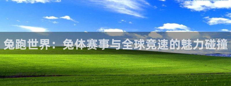 oety欧亿体育官网下载：兔跑世界：兔体赛事与全球竞速的魅力